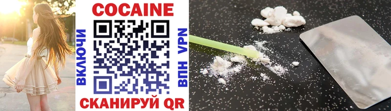 COCAIN Fish Scale  Купить  Кувшиново 