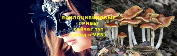 mix Горняк