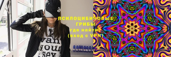дмт Гусиноозёрск
